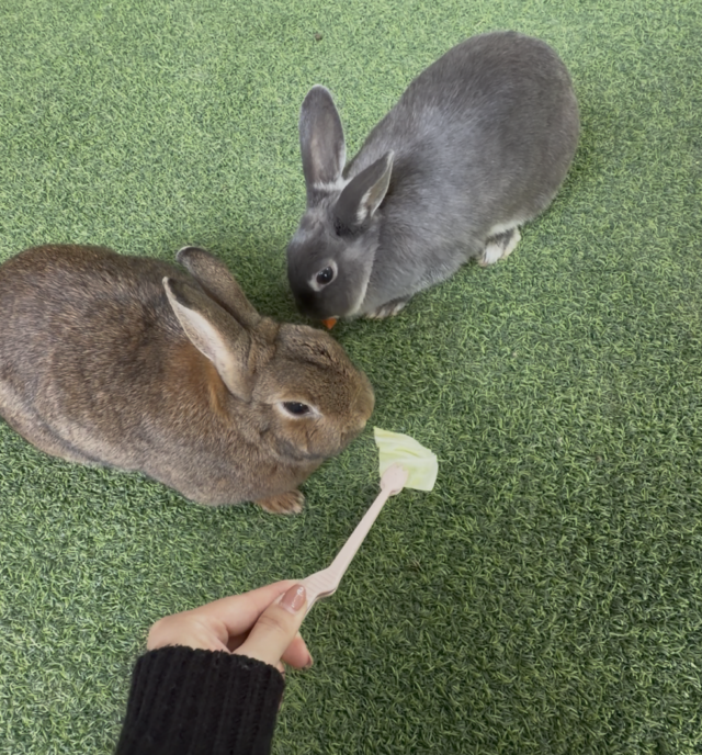 伊香保旅行🐑🐇💗
